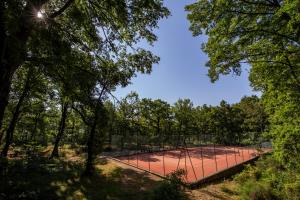 a tennis court in the middle of trees at Villa Farmi by MMega in Bibbiena