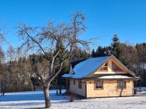 a log cabin in the snow with a tree at Exclusive Forest House - Spiska Leśna Przystań in Łapsze Niżne