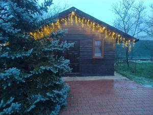 a small house with christmas lights on it at Casuta din Livada 3 in Drăganu-Olteni