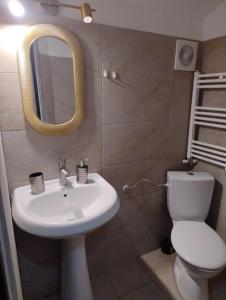 a bathroom with a sink and a toilet and a mirror at Casuta din Livada 3 in Drăganu-Olteni