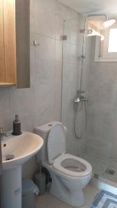 a bathroom with a toilet and a shower and a sink at Villa Bloom in Achladies +32 photos