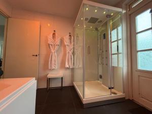 a shower in a bathroom with a glass shower stall at Bed and Breakfast De Haen - Privé-appartementen van 43 of 60 m2 met tweepersoons bubbelbad - Finse sauna - in westvleugel van luxe villa in Oss