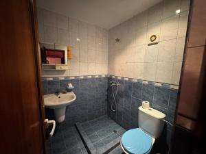 a bathroom with a toilet and a sink at Bar & Guests room ELA in Dolen Bliznak