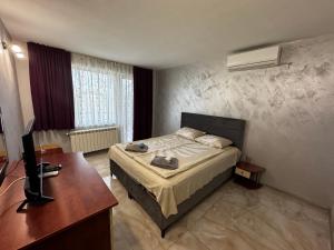 a bedroom with a bed and a desk and a television at Bar & Guests room ELA in Dolen Bliznak