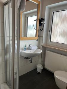 a bathroom with a sink and a mirror and a toilet at Ferienwohnung zum Breu im Löwen in Reit im Winkl +9 photos