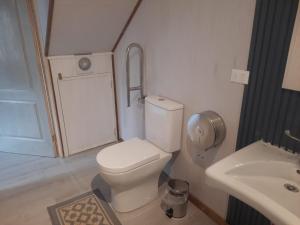 a bathroom with a white toilet and a sink at Cabañas Entre Cerros y Ríos in Futaleufú +18 photos