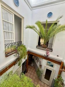 an indoor courtyard of a house with a window and plants at Pension Zurita in Granada