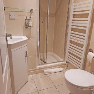 a bathroom with a shower and a toilet and a sink at The Glenerne in Eyemouth +39 photos