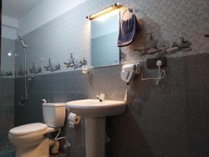 a bathroom with a toilet and a sink and a mirror at Isha Unity Cottage in Nallathanniya