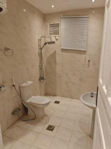 a bathroom with a toilet and a shower and a sink at NOVA Homes in Medina
