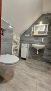 a bathroom with a toilet and a sink at Penzion Čtyřlístek in Teplice nad Metují +45 photos