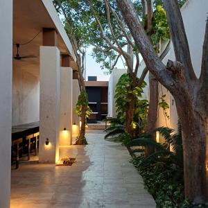 an outdoor courtyard with trees and a piano at Casa Josefina in Hunucmá