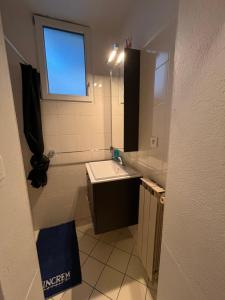 a small bathroom with a sink and a mirror at Appartement Millau climatisé in Millau