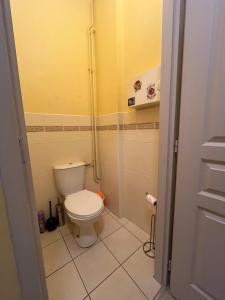 a bathroom with a toilet and a shower at Appartement Millau climatisé in Millau