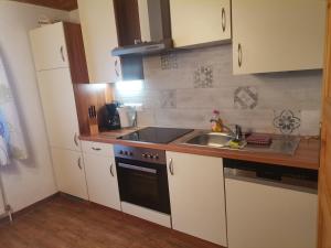 a small kitchen with a sink and a stove at Schirfhof in Michaelerberg