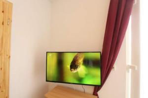 a flat screen tv hanging on a wall at Bungalow Marina Tarnewitz in Tarnewitz