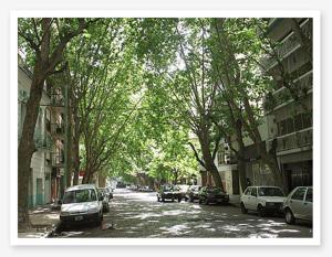 una calle con coches aparcados al lado de una carretera con árboles en Gurruchaga Palermo Soho en Buenos Aires