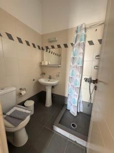 a bathroom with a shower and a toilet and a sink at Melissa Chora in Koufonisia