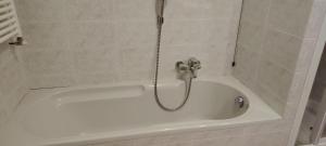 a bath tub with a shower in a bathroom at La Dimora della Quiete in Valdidentro