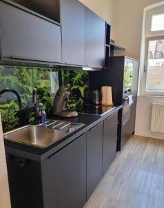 a kitchen with a sink and a fish tank at Süße Marie 10 in Karlsruhe