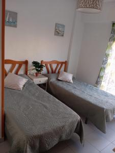 a room with two beds and a table with a plant at Sol Apartment in Arenales del Sol