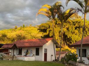 a house with a palm tree in front of a hill at Posada El Remolino in Anolaima