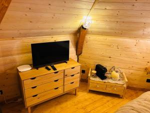 a television on a dresser in a room with wooden walls at La Clé de L Insolite in Hudiviller