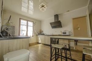 a kitchen with a toilet and a counter in it at Maison des 3 lacs in Chavanges +20 photos
