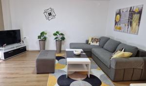 a living room with a couch and a tv at Emi Center Apartments in Gevgelija