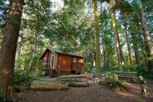 a wooden cabin in the middle of a forest at La Conner Camping Resort Cabin 7 in La Conner