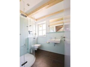 a bathroom with a toilet sink and a shower at Reethaus Ostseeblick 1 in Wohlenberg