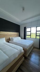 two beds in a bedroom with a large window at Solomon Guest House in Maseru