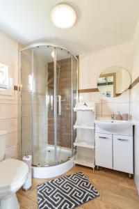 a bathroom with a shower and a toilet and a sink at Hacienda-Dębina in Debina +42 photos