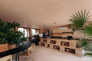 a room with plants and a kitchen with a counter at Babel tulum in Tulum