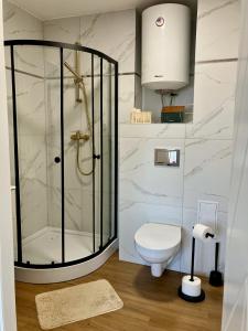 a bathroom with a shower and a toilet at Bytom Syrah in Bytom