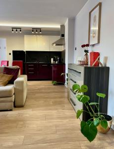 a kitchen and living room with a plant in the foreground at Bytom Syrah in Bytom