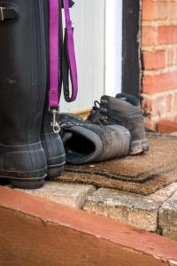 a pair of shoes on a step with a purple leash at The Dukes in Leighton Buzzard