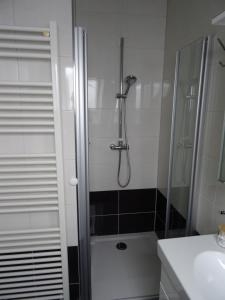 a bathroom with a shower and a sink at Wohlfühl Hotel & Pension am Birnengarten - Ruhige Zimmer mit Bad & WLAN in Magdeburg