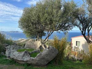 a large rock and trees and a house and water at CAMPING MONTE ORTU in Lumio +107 photos