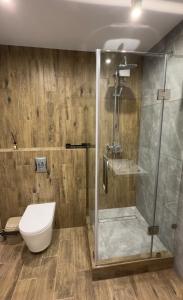 a bathroom with a shower and a toilet at Sunset apart in Kremenetsʼ