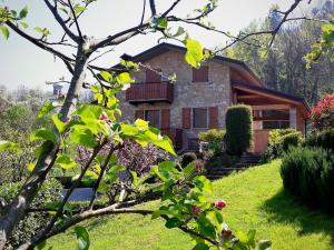 a house on a hill with a tree at Casa Martina in Zogno