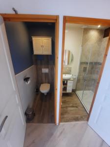a bathroom with a shower and a toilet and a sink at L'Abri Côtier 2 in Les Sables-d'Olonne