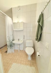 a small bathroom with a toilet and a sink at Kodikas kerrostaloyksiö in Jalasjärvi +3 photos
