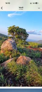 a picture of some rocks and a tree and water at Sítio monte alegre in Sobral