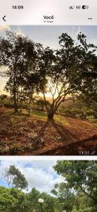 two pictures of a tree in a field at Sítio monte alegre in Sobral