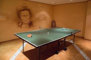 Biliár nebo kulečník v ubytování Hotel Reifenstein
