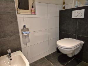 a bathroom with a toilet and a sink at Dalerheugte Drenthe B&B Wellness 6 met romantisch bad en ontbijt à la carte op de kamer in Dalerveen