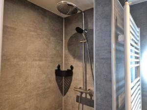 a shower with a shower head in a bathroom at Dalerheugte Drenthe B&B Wellness 6 met romantisch bad en ontbijt à la carte op de kamer in Dalerveen