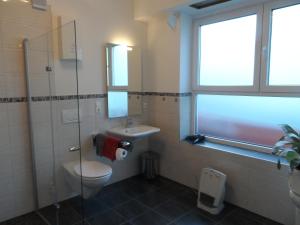 ein Bad mit einem WC, einem Waschbecken und einem Fenster in der Unterkunft Gästehaus Alfons und Marianne Eifel in Trittenheim