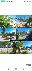 a collage of photos of a beach with palm trees at Olivier 64 in Valras-Plage